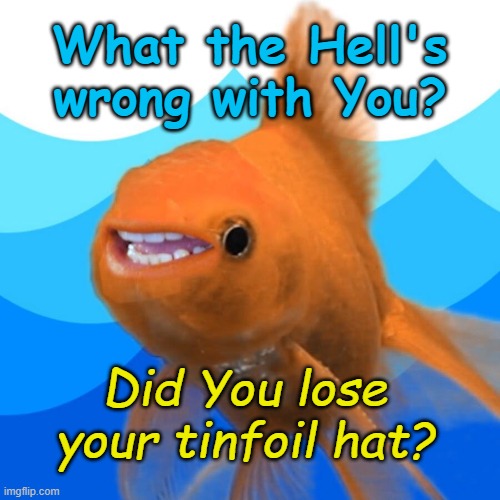 hecklefish | What the Hell's wrong with You? Did You lose your tinfoil hat? | image tagged in funny | made w/ Imgflip meme maker