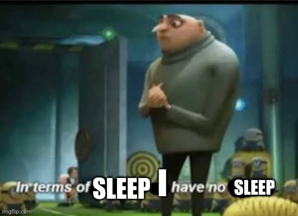 Me rn | I; SLEEP; SLEEP | image tagged in in terms of money | made w/ Imgflip meme maker