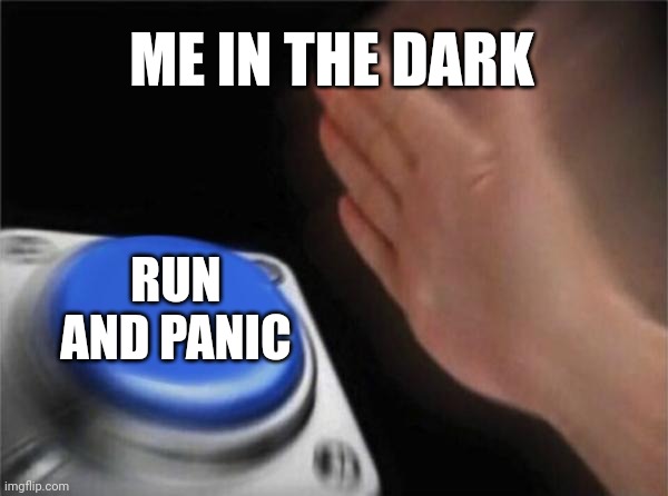 Blank Nut Button Meme | ME IN THE DARK; RUN AND PANIC | image tagged in memes,blank nut button | made w/ Imgflip meme maker