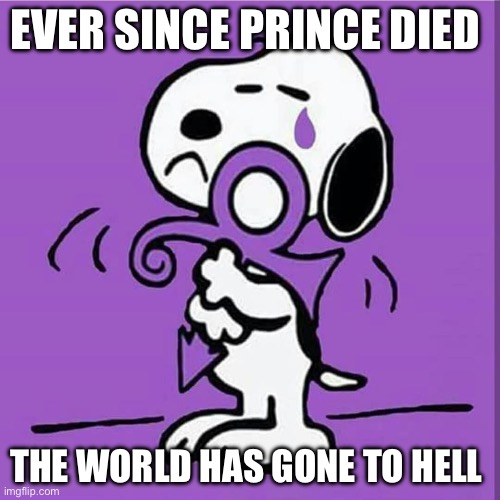 Sad Snoopy Prince | EVER SINCE PRINCE DIED; THE WORLD HAS GONE TO HELL | image tagged in snoopy | made w/ Imgflip meme maker