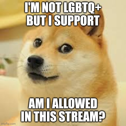 I do support | I'M NOT LGBTQ+ BUT I SUPPORT; AM I ALLOWED IN THIS STREAM? | image tagged in square doge | made w/ Imgflip meme maker