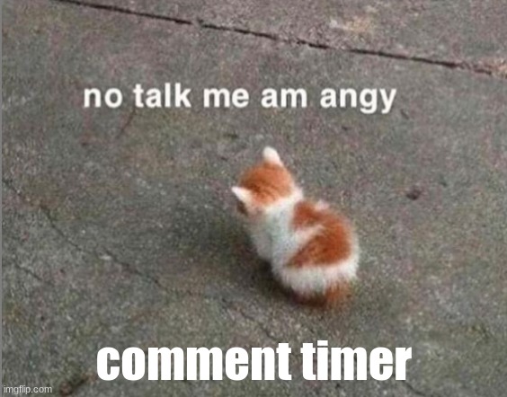 no talk me am angy | comment timer | image tagged in no talk me am angy | made w/ Imgflip meme maker