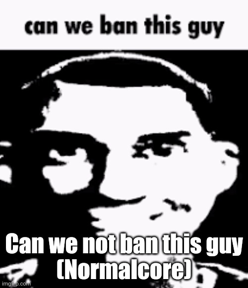 Can we ban this guy | Can we not ban this guy
(Normalcore) | image tagged in can we ban this guy | made w/ Imgflip meme maker