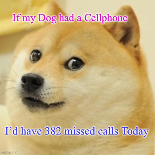 Doge | If my Dog had a Cellphone; I’d have 382 missed calls Today | image tagged in memes,doge | made w/ Imgflip meme maker