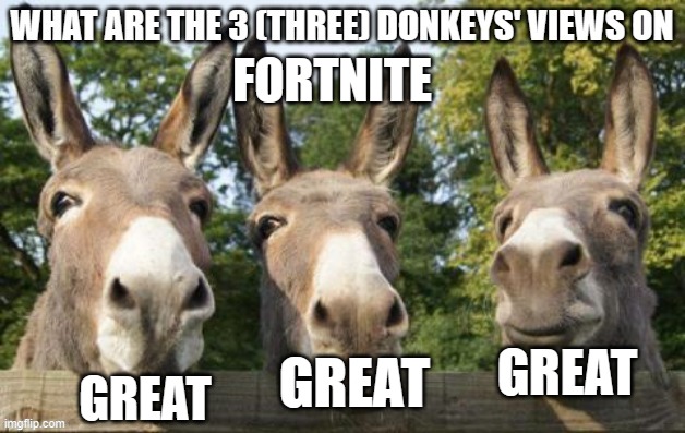 What are the 3 (three) donkeys' views on X | FORTNITE; GREAT; GREAT; GREAT | image tagged in what are the 3 three donkeys' views on x | made w/ Imgflip meme maker
