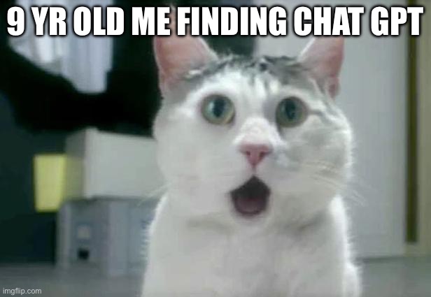 My new friend | 9 YR OLD ME FINDING CHAT GPT | image tagged in memes,omg cat | made w/ Imgflip meme maker
