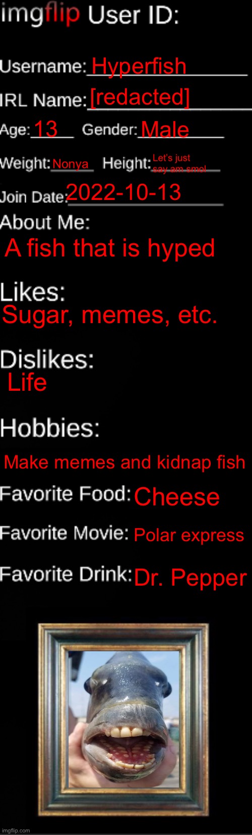 Decided to make one of these | Hyperfish; [redacted]; 13; Male; Nonya; Let’s just say am smol; 2022-10-13; A fish that is hyped; Sugar, memes, etc. Life; Make memes and kidnap fish; Cheese; Polar express; Dr. Pepper | image tagged in imgflip id card | made w/ Imgflip meme maker