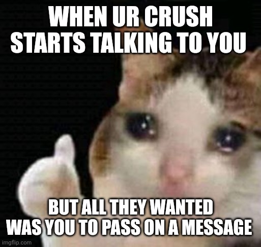 T^T | WHEN UR CRUSH STARTS TALKING TO YOU; BUT ALL THEY WANTED WAS YOU TO PASS ON A MESSAGE | image tagged in crying thumbs up,crush,when your crush,sad,talking | made w/ Imgflip meme maker