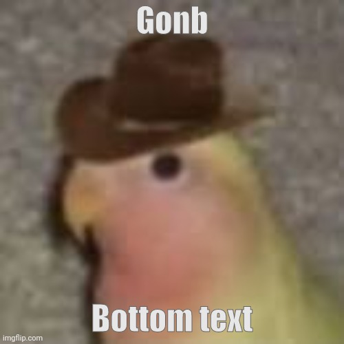 Gonb | Gonb; Bottom text | image tagged in gonb | made w/ Imgflip meme maker