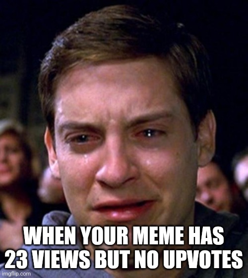 crying peter parker | WHEN YOUR MEME HAS 23 VIEWS BUT NO UPVOTES | image tagged in crying peter parker | made w/ Imgflip meme maker