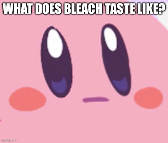 What does it taste like? ? | WHAT DOES BLEACH TASTE LIKE? | image tagged in blank kirby face | made w/ Imgflip meme maker