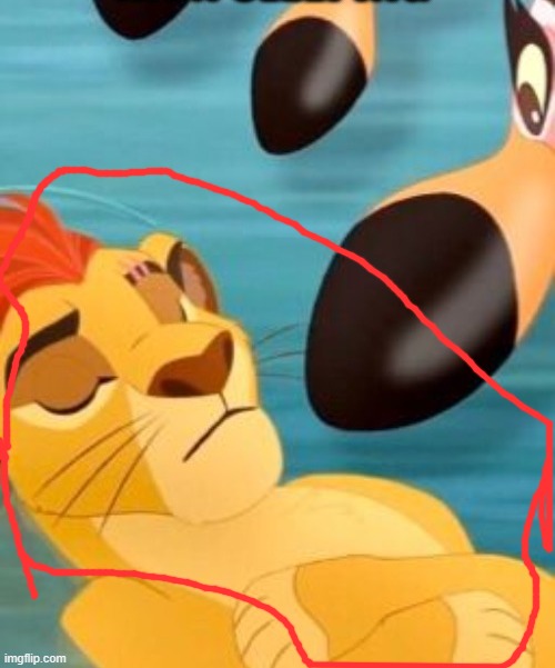 Used in comment | image tagged in kion sleeping for no reason | made w/ Imgflip meme maker