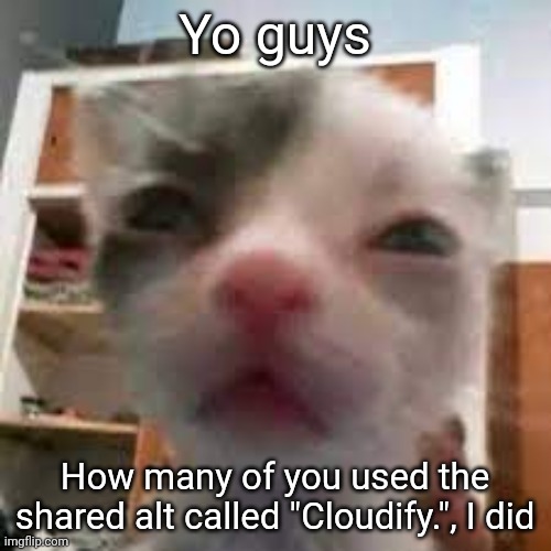 Cat lightskin stare | Yo guys; How many of you used the shared alt called "Cloudify.", I did | image tagged in cat lightskin stare | made w/ Imgflip meme maker