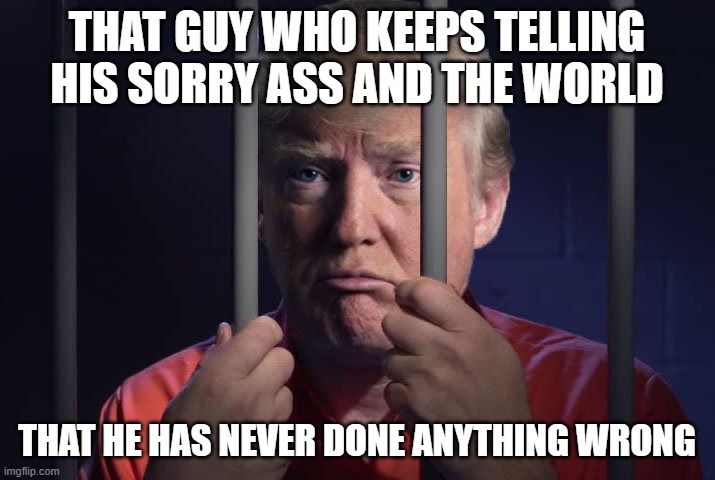 Trump in jail | THAT GUY WHO KEEPS TELLING HIS SORRY ASS AND THE WORLD; THAT HE HAS NEVER DONE ANYTHING WRONG | image tagged in trump in jail,lies,maga,rino,fascist,dictator | made w/ Imgflip meme maker