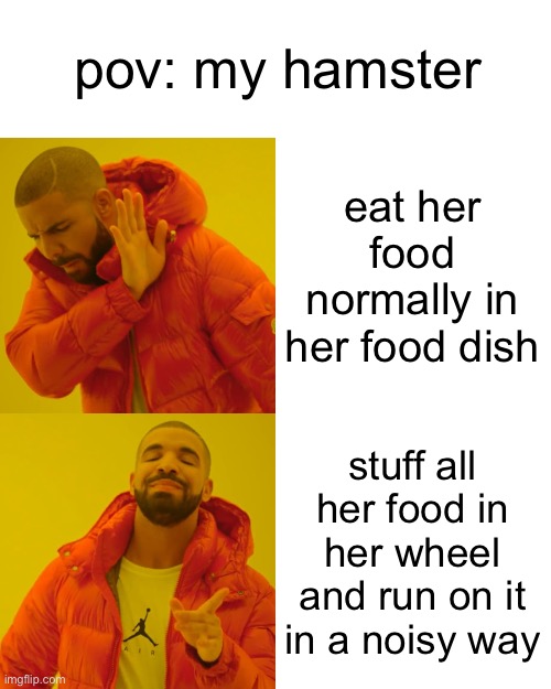 pov: my hamster | pov: my hamster; eat her food normally in her food dish; stuff all her food in her wheel and run on it in a noisy way | image tagged in memes,drake hotline bling,hamster,food,noise | made w/ Imgflip meme maker