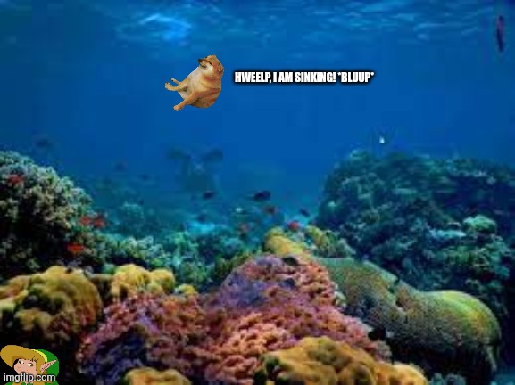 Coral Reef | HWEELP, I AM SINKING! *BLUUP* | image tagged in memes,doge,sinks | made w/ Imgflip meme maker