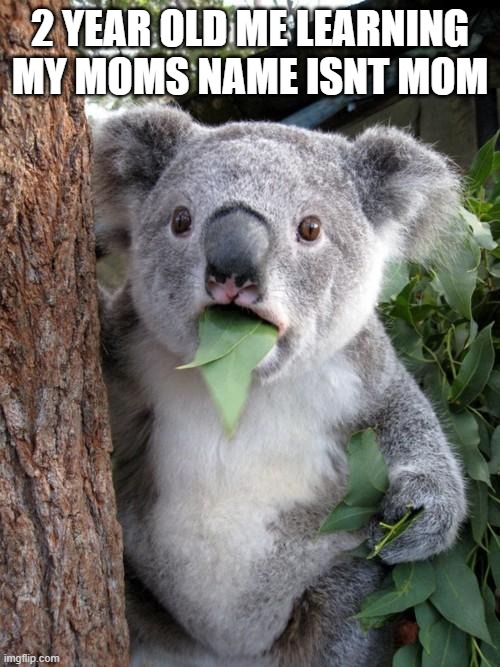 lol | 2 YEAR OLD ME LEARNING MY MOMS NAME ISNT MOM | image tagged in memes,surprised koala | made w/ Imgflip meme maker