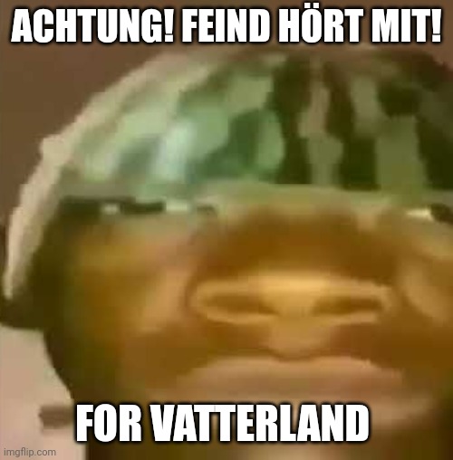 shitpost | ACHTUNG! FEIND HÖRT MIT! FOR VATTERLAND | image tagged in shitpost | made w/ Imgflip meme maker