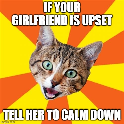 Bad Advice Cat Meme | IF YOUR GIRLFRIEND IS UPSET; TELL HER TO CALM DOWN | image tagged in memes,bad advice cat | made w/ Imgflip meme maker