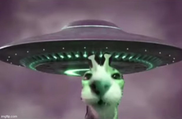 greez geegle | made w/ Imgflip meme maker