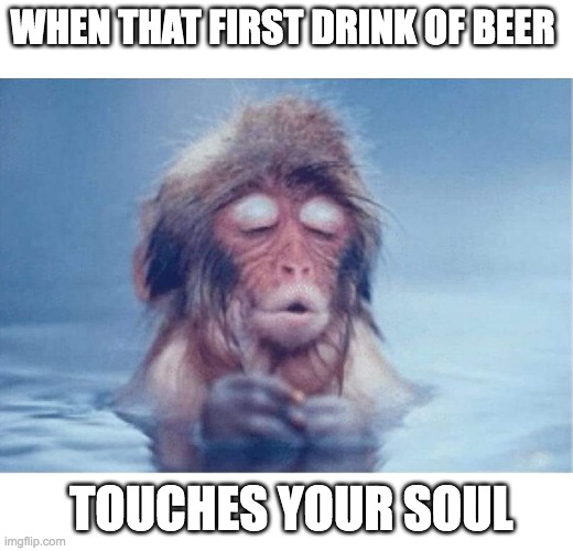 Beer Soul | WHEN THAT FIRST DRINK OF BEER; TOUCHES YOUR SOUL | image tagged in beer | made w/ Imgflip meme maker