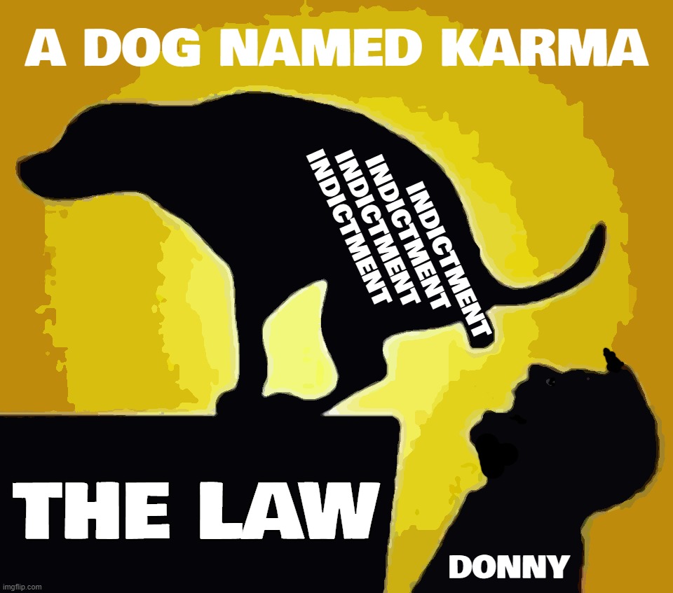 and another one and another one and another... | A DOG NAMED KARMA; INDICTMENT
INDICTMENT    
INDICTMENT        
INDICTMENT; THE LAW; DONNY | image tagged in federal,indictment | made w/ Imgflip meme maker