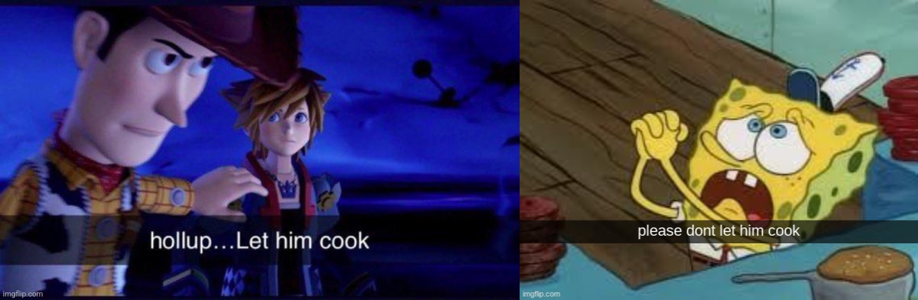 image tagged in hollup let him cook,please dont let him cook | made w/ Imgflip meme maker