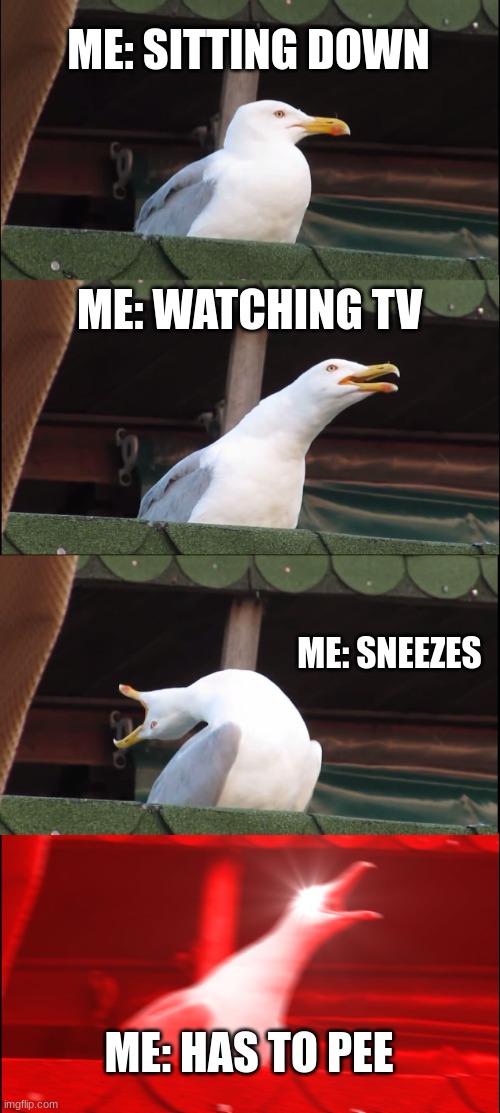 Inhaling Seagull | ME: SITTING DOWN; ME: WATCHING TV; ME: SNEEZES; ME: HAS TO PEE | image tagged in memes,inhaling seagull,seagull | made w/ Imgflip meme maker