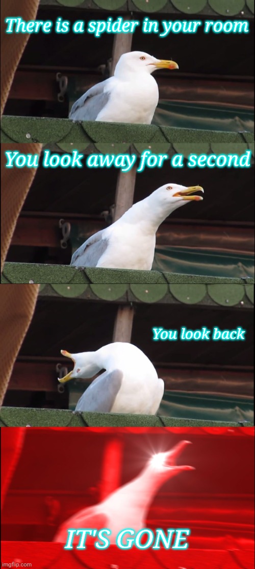 AAAHHHH | There is a spider in your room; You look away for a second; You look back; IT'S GONE | image tagged in memes,inhaling seagull,spooder | made w/ Imgflip meme maker