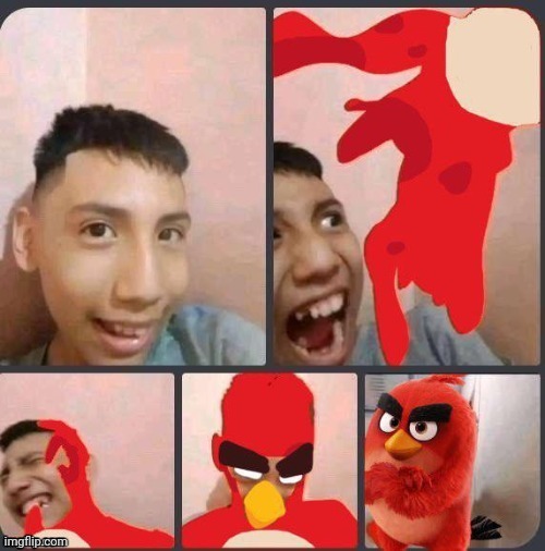 Angry Birds | image tagged in angry birds,reposts,repost,memes,meme,transformation | made w/ Imgflip meme maker
