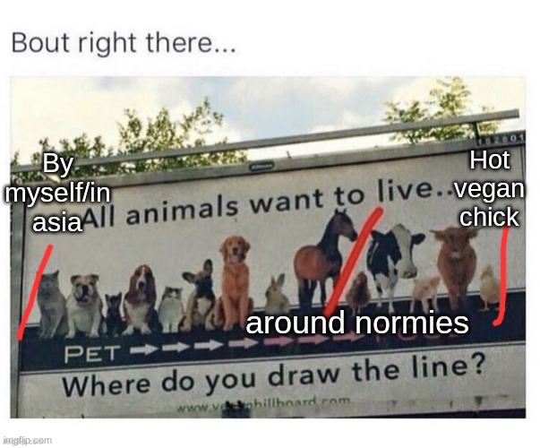 Hot vegan chick; By myself/in asia; around normies | made w/ Imgflip meme maker