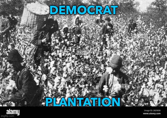 Democrat Plantation | DEMOCRAT; PLANTATION | image tagged in southern plantation | made w/ Imgflip meme maker