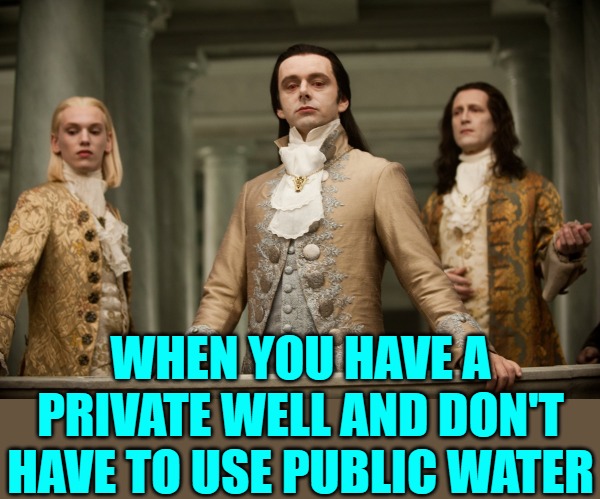 Private Well Aristocrats | WHEN YOU HAVE A PRIVATE WELL AND DON'T HAVE TO USE PUBLIC WATER | image tagged in british aristocrats arrive at the oscars,funny memes,real estate,humor,water,lol so funny | made w/ Imgflip meme maker
