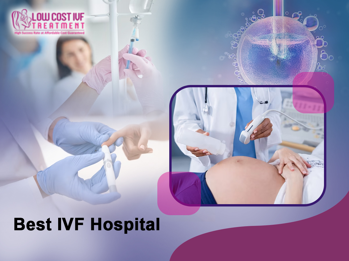 Best IVF Specialist in Lingarajpuram-lowcostivftreatment Blank Meme Template