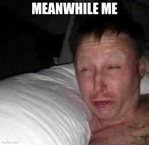 Sleepy guy | MEANWHILE ME | image tagged in sleepy guy | made w/ Imgflip meme maker