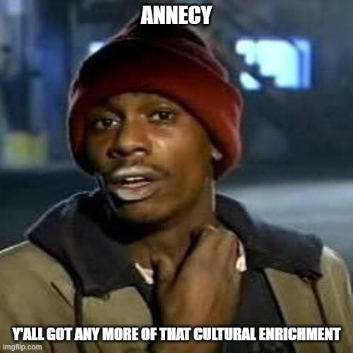 yall got any more of them potions | ANNECY; Y'ALL GOT ANY MORE OF THAT CULTURAL ENRICHMENT | image tagged in yall got any more of them potions | made w/ Imgflip meme maker