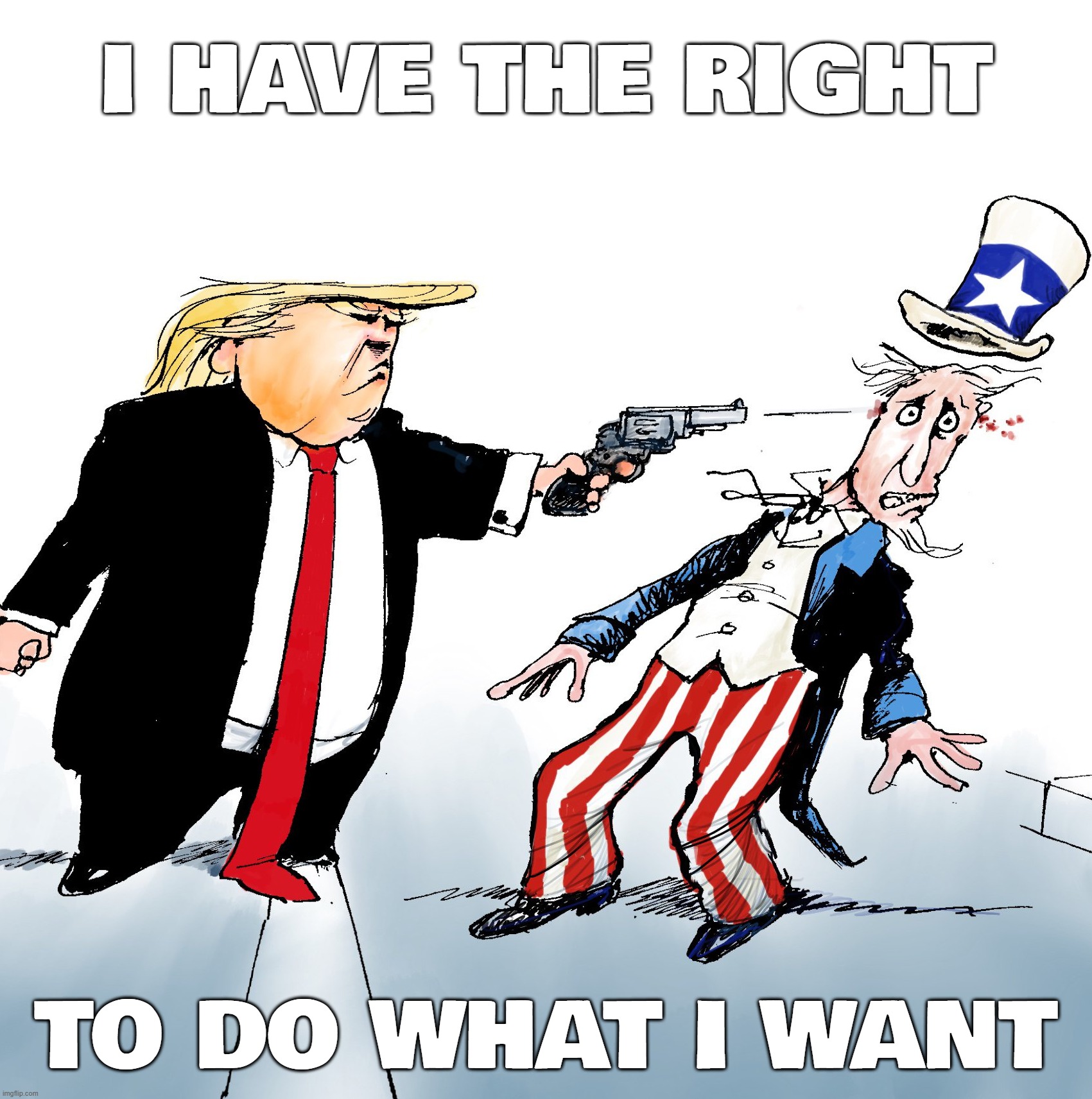 spoiled bitch... | I HAVE THE RIGHT; TO DO WHAT I WANT | image tagged in your country needs you,kill yourself,say goodbye | made w/ Imgflip meme maker