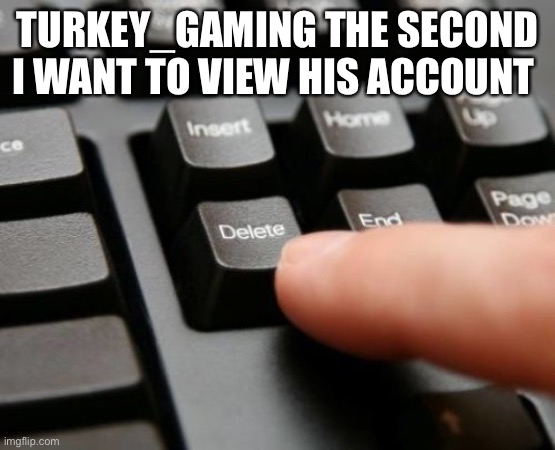 Not for bad purposes, its to see the bullshit he posted | TURKEY_GAMING THE SECOND I WANT TO VIEW HIS ACCOUNT | image tagged in delete | made w/ Imgflip meme maker