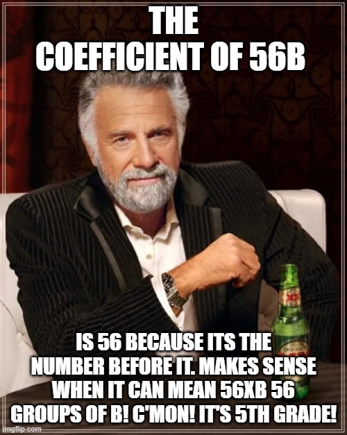 The Most Interesting Man In The World Meme | THE COEFFICIENT OF 56B; IS 56 BECAUSE ITS THE NUMBER BEFORE IT. MAKES SENSE WHEN IT CAN MEAN 56XB 56 GROUPS OF B! C'MON! IT'S 5TH GRADE! | image tagged in memes,the most interesting man in the world | made w/ Imgflip meme maker