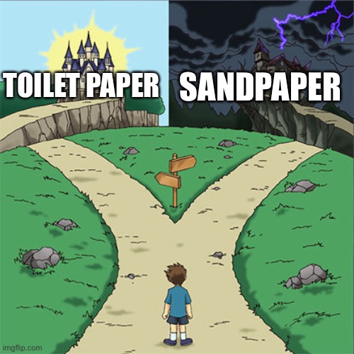 Poopoo | SANDPAPER; TOILET PAPER | image tagged in two paths | made w/ Imgflip meme maker