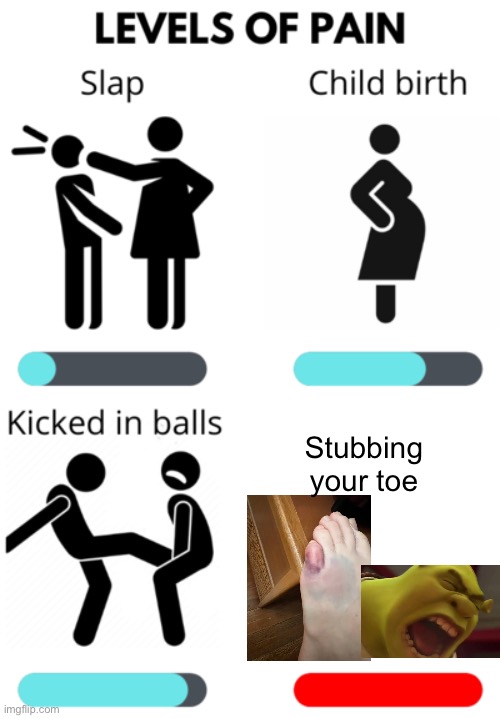 It hurts like hell | Stubbing your toe | image tagged in levels of pain | made w/ Imgflip meme maker