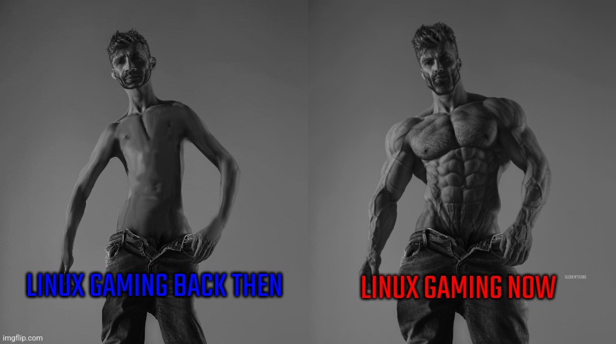 Linux gaming used to suck, still has flaws, but it has become more viable | LINUX GAMING BACK THEN; LINUX GAMING NOW | image tagged in weak gigachad vs strong gigachad comparison,linux,linux gaming,gaming,games,video games | made w/ Imgflip meme maker