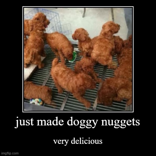 HOL UP | just made doggy nuggets | very delicious | image tagged in funny,demotivationals | made w/ Imgflip demotivational maker
