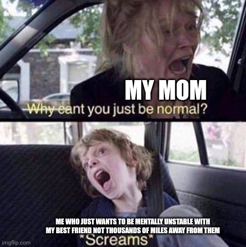 aaaa | MY MOM; ME WHO JUST WANTS TO BE MENTALLY UNSTABLE WITH MY BEST FRIEND NOT THOUSANDS OF MILES AWAY FROM THEM | image tagged in why can't you just be normal | made w/ Imgflip meme maker