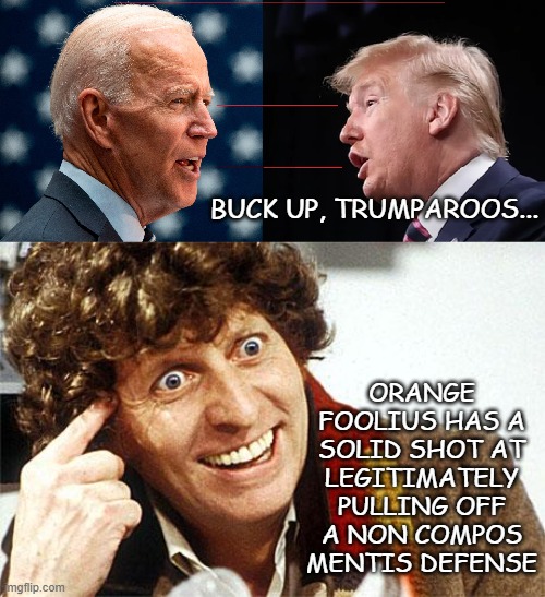 More indictments coming, kids  :D  --I mean... we all know his ego won't allow it, but hey... | BUCK UP, TRUMPAROOS... ORANGE FOOLIUS HAS A SOLID SHOT AT LEGITIMATELY PULLING OFF A NON COMPOS MENTIS DEFENSE | image tagged in trump unfit unqualified dangerous,criminal | made w/ Imgflip meme maker