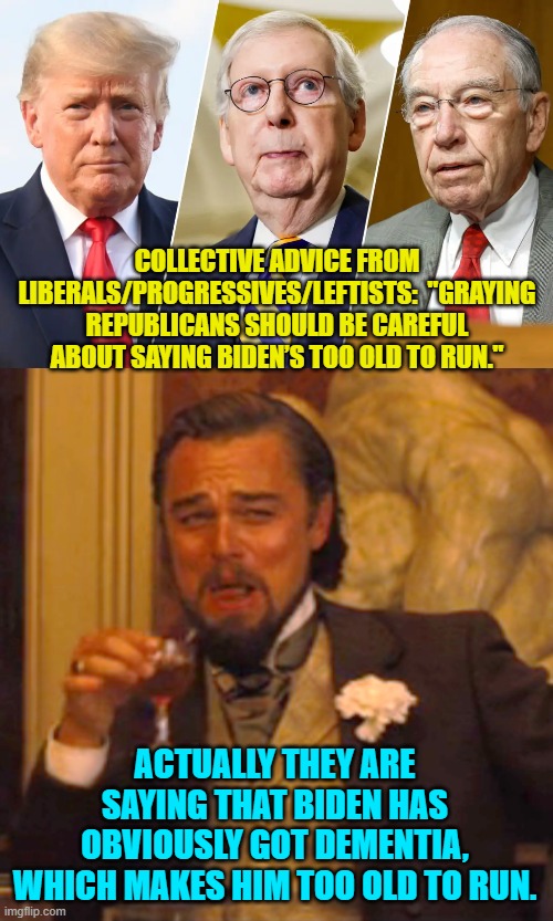 Look at how STUPID leftists really do think you are. | COLLECTIVE ADVICE FROM LIBERALS/PROGRESSIVES/LEFTISTS:  "GRAYING REPUBLICANS SHOULD BE CAREFUL ABOUT SAYING BIDEN’S TOO OLD TO RUN."; ACTUALLY THEY ARE SAYING THAT BIDEN HAS OBVIOUSLY GOT DEMENTIA, WHICH MAKES HIM TOO OLD TO RUN. | image tagged in laughing leo | made w/ Imgflip meme maker