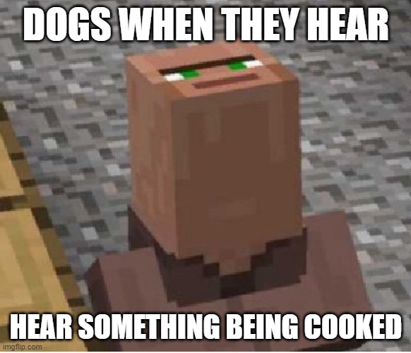 dogs | DOGS WHEN THEY HEAR; HEAR SOMETHING BEING COOKED | image tagged in minecraft villager looking up | made w/ Imgflip meme maker