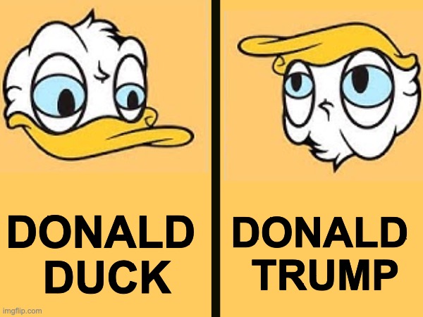There's no way you noticed + I like trump | DONALD 
DUCK; DONALD 
TRUMP | image tagged in donald trump,donald duck,stupid | made w/ Imgflip meme maker