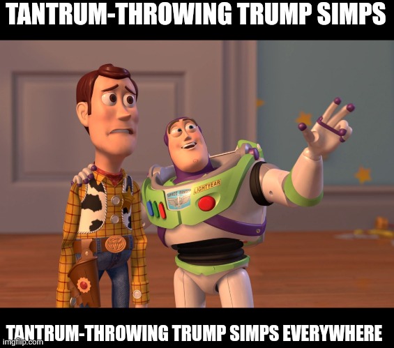 They're so desperate to be seen as victims | TANTRUM-THROWING TRUMP SIMPS; TANTRUM-THROWING TRUMP SIMPS EVERYWHERE | image tagged in memes,x x everywhere,scumbag republicans,terrorists,terrorism | made w/ Imgflip meme maker