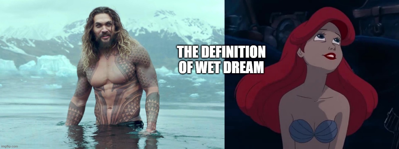 Wet Dream | THE DEFINITION OF WET DREAM | image tagged in aquaman,ariel | made w/ Imgflip meme maker